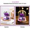 Flowers for Delivery Preserved Rose Gifts for Women,Long-Lasting Forever Flowers in Glass Dome, Birthday Gifts for Women Mom Friend(Purple Rose)